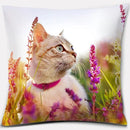 Axyaa Cat Series Pillowcase: Cute Living Room Sofa Cover for Home Decoration