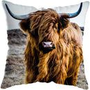 Axyaa Highland Cat Cow Yak Animal Pillowcase for Stylish Home Decor