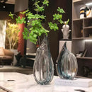 Axyaa Glass Vase Ornaments Flower Arrangement Hydroponic Decor Vases