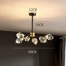 Axyaa Luxury Crystal Chandelier for Living Room and Bedroom, Indoor Ceiling Light