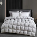 Axyaa Winter Goose Down Quilt Queen King Cozy Lightweight Comforter