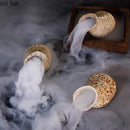 Axyaa Ceramic Conch Sushi Plate Set
