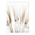 Axyaa Beige Dandelion Bunny Tail Grass Canvas Art Print Nordic Flower Poster