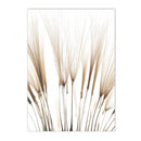 Axyaa Beige Dandelion Bunny Tail Grass Canvas Art Print Nordic Flower Poster