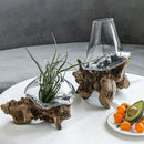 Axyaa Glass Bonsai Vase with Dead Wood Rack, Hydroponic Planting Pot for Home Decor