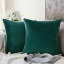Axyaa Soft Throw Pillow Case for Living Room Sofa - 45x45cm Home Decor Cover