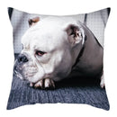 Axyaa Cat Dog Pet Polyester Pillow Cover Cushion Cover Home Sofa Decor 45x45cm