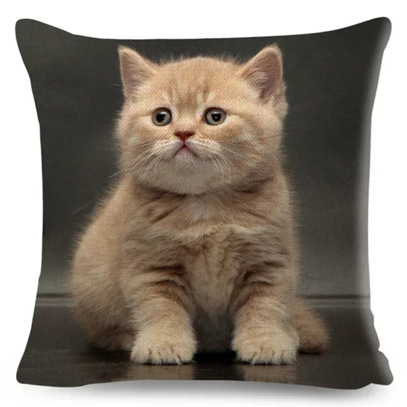 Axyaa Fold Ear Cat Pillow Covers - Set of 2 Cute Pet Pillowcases