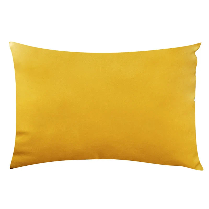 Axyaa Velvet Throw Pillow Cover 30*50cm - Soft & Cozy Home Decor
