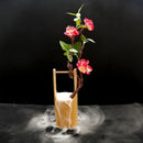 Axya Seafood Pose Bamboo Tube Sushi Sashimi Swing Plate