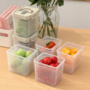 Axyaa Sealed Food Storage Box for Fresh Fruits and Vegetables