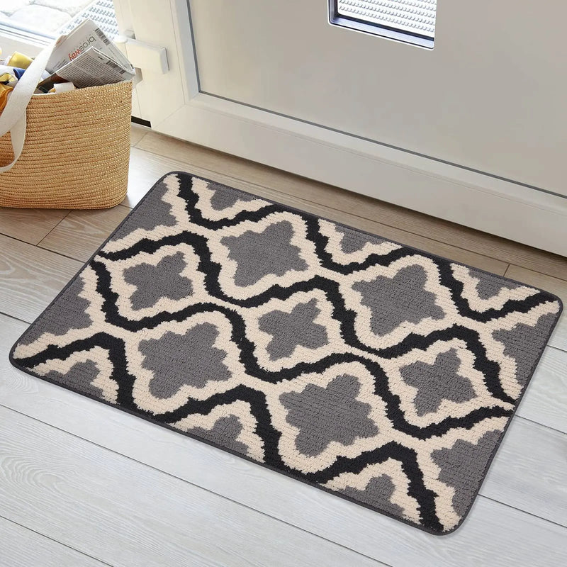 Axyaa Low-Profile Indoor Entry Doormat 80x120 - Non-Slip Absorbent Washable Rug