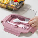 Axyaa Lunch Box Set: Leakproof, Microwave Safe, Divided, for Office Workers, Picnic, Camping