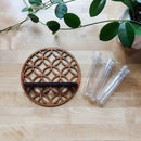 Axyaa Wooden Circle Wall Planters with 3 Test Tubes