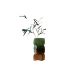 Axyaa Geometric Square Gradient Glass Vase for Flowers and Terrariums