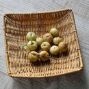 Axyaa Rattan Storage Tray Set | Multipurpose Home Decor Craft Tray	Collection