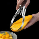 Axya Stainless Steel Mango Cubes Extractor & Pulp Separator