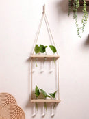 Axyaa Air Plants Wall Hanging Floating Shelf Boho Art Home Decor