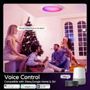 Axyaa Smart RGB Ceiling Light: Voice Control, Dimmable, WiFi, App Control