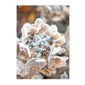 Nordic Elk House Winter Canvas Wall Art by Axyaa