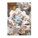 Nordic Elk House Winter Canvas Wall Art by Axyaa