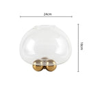 Axyaa Clear Glass Geometric Vase with Golden Ball - Home Decor Floral Arrangement Accessories