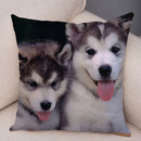 Axyaa Siberian Husky Pet Sofa Cushion Cover - Cute Dog Print Pillowcase