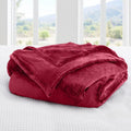 Axyaa Plush Fleece Blanket - Luxurious, Cozy, and Lightweight All-Season Throw