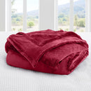 Axyaa Plush Fleece Blanket - Luxurious, Cozy, and Lightweight All-Season Throw