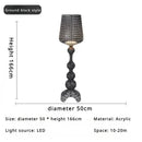 Axyaa Modern Personality LED Floor Lamp for Home Decor