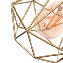 Axyaa Metal Wire Cage Pendant Light Cover Industrial Style for Ceiling Hanging Lamp