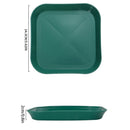 Axyaa Snack Plate Set for Home, Camping, Weddings - Reusable & Durable - 4/8/12pcs