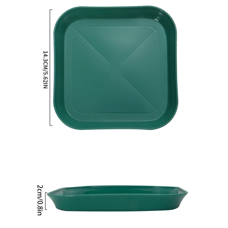 Axyaa Snack Plate Set for Home, Camping, Weddings - Reusable & Durable - 4/8/12pcs
