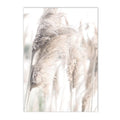 Axyaa Beige Bunny Tail Grass Pampas Reed Wall Art Print & Decor