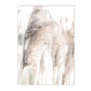 Axyaa Beige Bunny Tail Grass Pampas Reed Wall Art Print & Decor