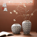 Axyaa Ceramic Vase for Flowers, Hydropnics, and Dry Arrangements