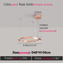 Axyaa 2024 Ring LED Chandelier Modern Minimalist Luxury Light