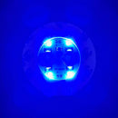 LED Light Coaster for Wine Bottles by Axyaa - Party Decor Illuminated Stickers