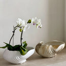 Ceramic Shell Flowerpot Vase by Axyaa - Garden & Home Decoration Essentials