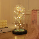 Axyaa Eternal Rose Night Light - LED Beauty and the Beast Magic Flower Lamp