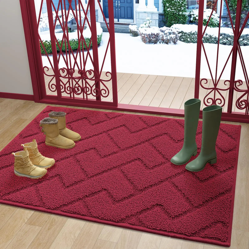 Axyaa Front Entry Indoor Doormat - Washable Non-Slip Absorbent Resist Dirt Mat