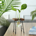 Axyaa Wooden Frame Hydroponic Glass Bulb Vase Planter for Home Decor