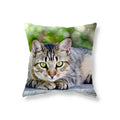 Axyaa Black Cat Cushion Cover for Sofa, Car, Office, Game Chair - Cute & Funny