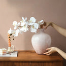 Axyaa Pink Mist Glass Vase for Hydroponic Flowers - Mid Century Modern Home Decor