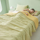 Axyaa Silk Watermelon Antibacterial Summer Quilt - Double Air Conditioner Quilt