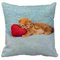 Axyaa Black Cat Bubble Pillow Cases - Premium Animal Cushion Cover for Home Decor