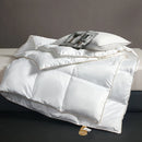 Axyaa Winter Quilt Core - Thickened, Warm, Single, Student Dormitory, Four Seasons