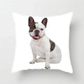 Axyaa French Bulldog Cushion Cover - 45X45CM