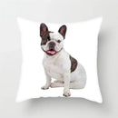 Axyaa French Bulldog Cushion Cover - 45X45CM