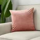 Axyaa Velvet Cushion and Throw Pillow Cover Set for Home D��cor
